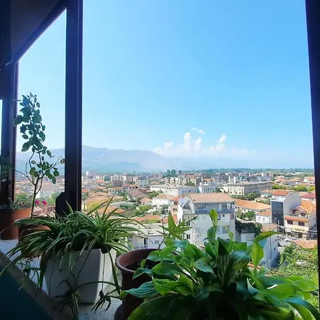 In * Shkoder